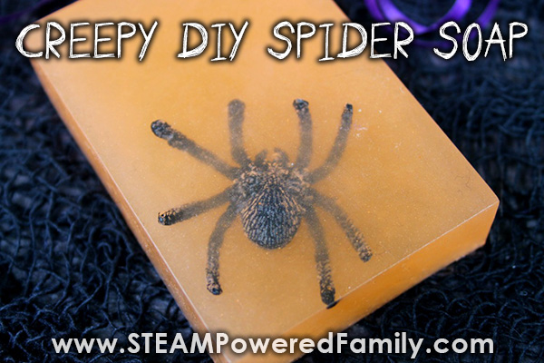 https://blocksrock.com/assets/img/feature-block-images/Halloween-Soap-making-project-with-spiders-FEATURE.jpg